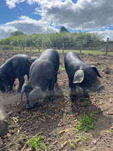 Load image into Gallery viewer, Summer Holiday Club Week 3 (4th August - 8th August)