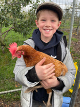 Load image into Gallery viewer, October Half Term Holiday Club (27th October - 31st October)