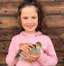 Load image into Gallery viewer, Summer Holiday Club Week 3 (4th August - 8th August)