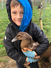 Load image into Gallery viewer, Summer Holiday Club Week 2 (28th July -1st August)