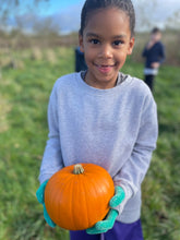 Load image into Gallery viewer, 🎃Feed the Piggies🎃