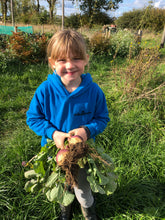 Load image into Gallery viewer, Summer Holiday Club Week 2 (28th July -1st August)