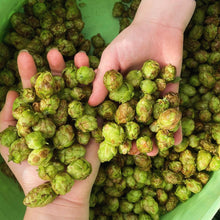 Load image into Gallery viewer, October Home Education Day (21st)