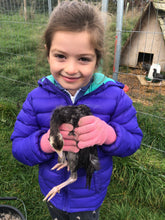 Load image into Gallery viewer, Summer Holiday Club Week 2 (28th July -1st August)