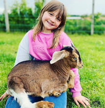 Load image into Gallery viewer, Summer Holiday Club Week 3 (4th August - 8th August)