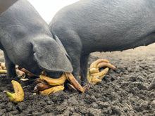 Load image into Gallery viewer, Summer Holiday Club Week 1 (21st July - 25th July)