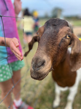 Load image into Gallery viewer, October Home Education Day (21st)