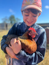 Load image into Gallery viewer, September Home Education Day (23rd)