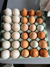 Load image into Gallery viewer, October Home Education Day (21st)