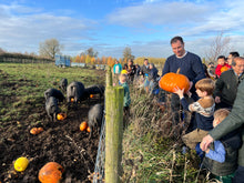 Load image into Gallery viewer, 🎃Pumpkin Feeding Day - Sunday 8th November 2026