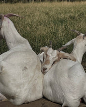 Load image into Gallery viewer, Easter Holiday Club (13th April 2026 - 17 April 2026