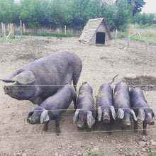 Load image into Gallery viewer, Easter Holiday Club (14th April - 17th April)