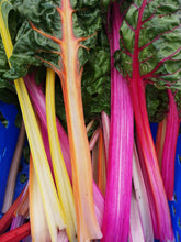 Load image into Gallery viewer, Easter Holiday Club (14th April - 17th April)