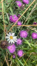 Load image into Gallery viewer, October Home Education Day (21st)
