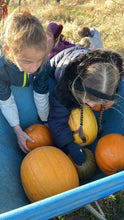 Load image into Gallery viewer, 🎃Pumpkin Feeding Day - Sunday 8th November 2026
