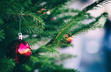 Load image into Gallery viewer, Nordman Fir (9ft+)
