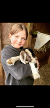 Load image into Gallery viewer, Summer Holiday Club Week 1 (21st July - 25th July)
