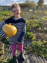 Load image into Gallery viewer, 🎃Feed the Piggies🎃
